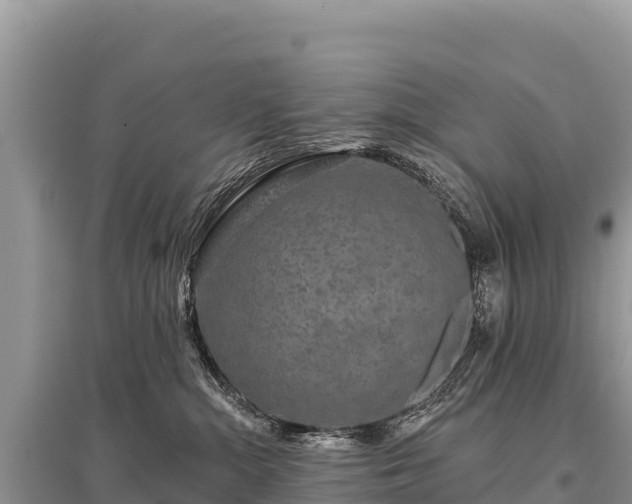 X0000096170284200801251159