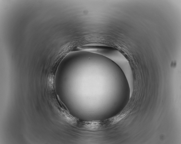 X0000096170288200801251159