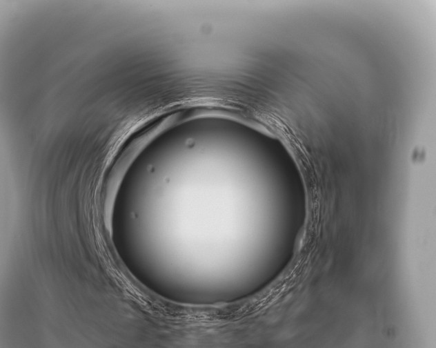 X0000096170289200801251158