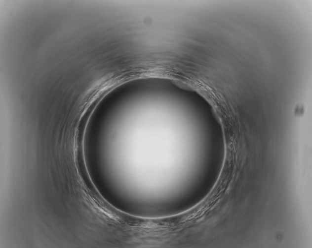 X0000096170290200801251158