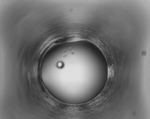 X0000096170291200801251158