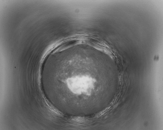 X0000096170293200801251158