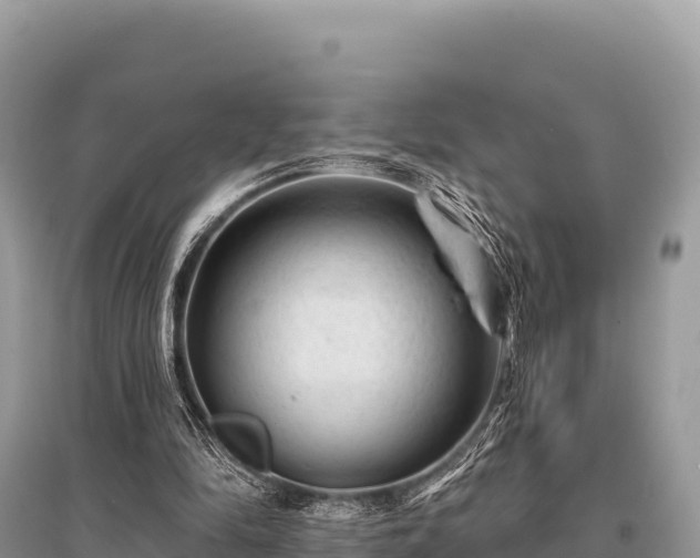 X0000096170294200801251158