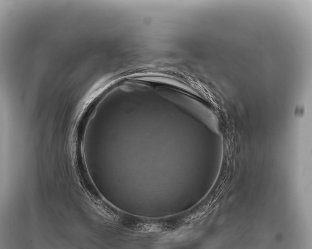 X0000096170295200801251158