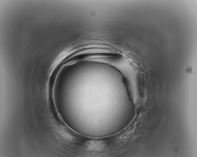 X0000096170296200801251158