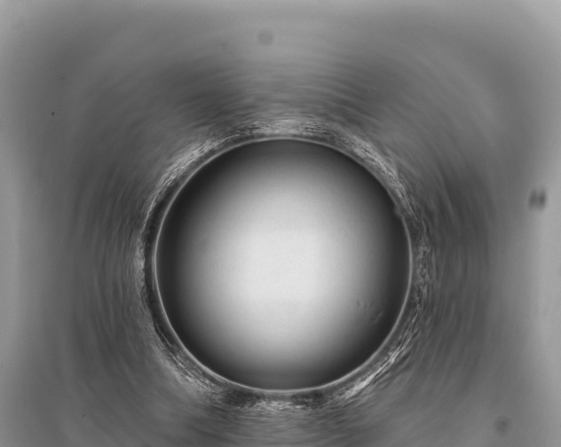 X0000096170298200801251158