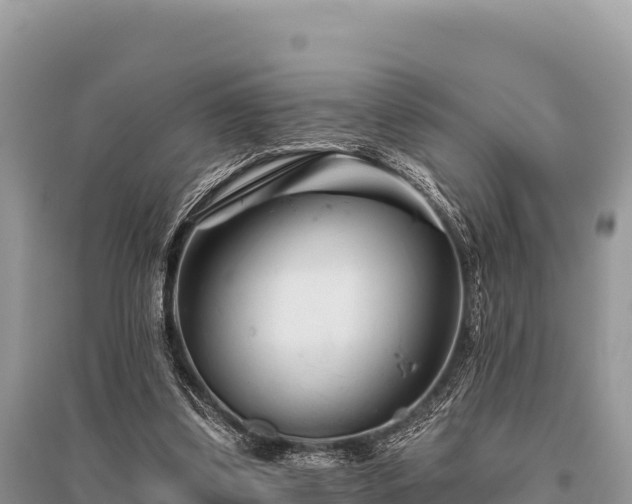 X0000096170299200801251158