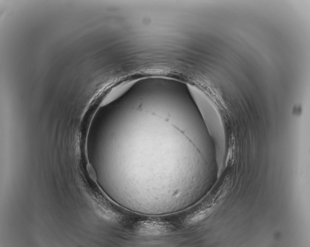 X0000096170300200801251158