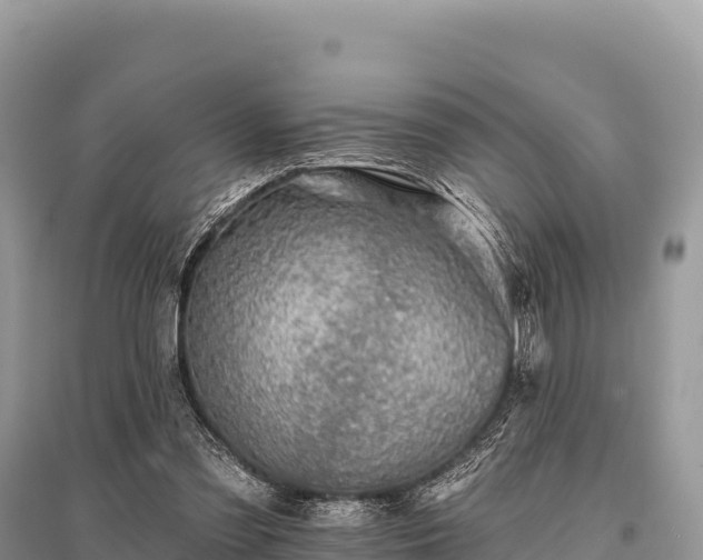 X0000096170301200801251158