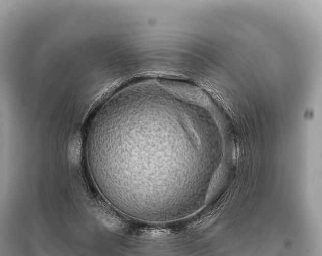 X0000096170304200801251157