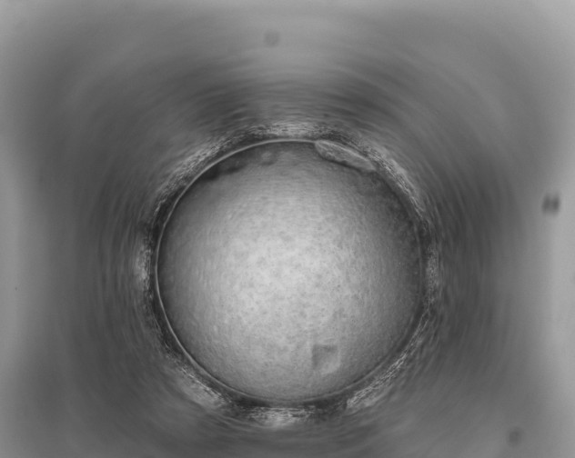 X0000096170305200801251157