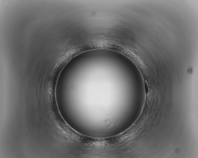 X0000096170306200801251157