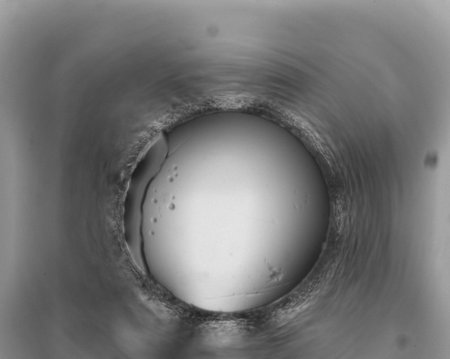 X0000096170307200801251157