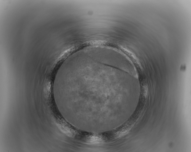 X0000096170308200801251157