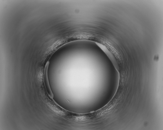 X0000096170309200801251157