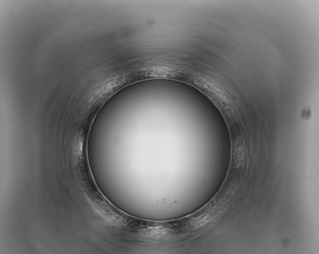 X0000096170310200801251157