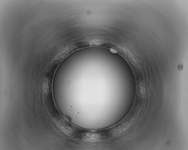 X0000096170311200801251157