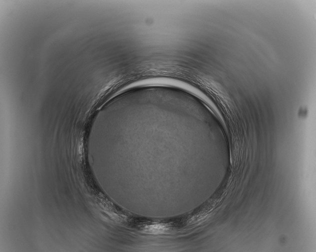 X0000096170312200801251157