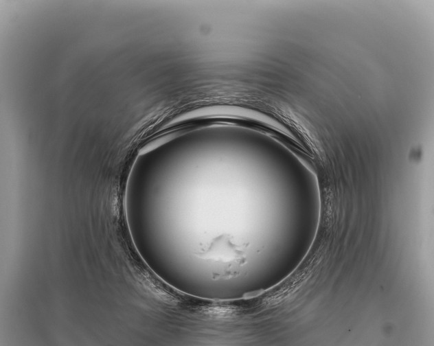 X0000096170313200801251157