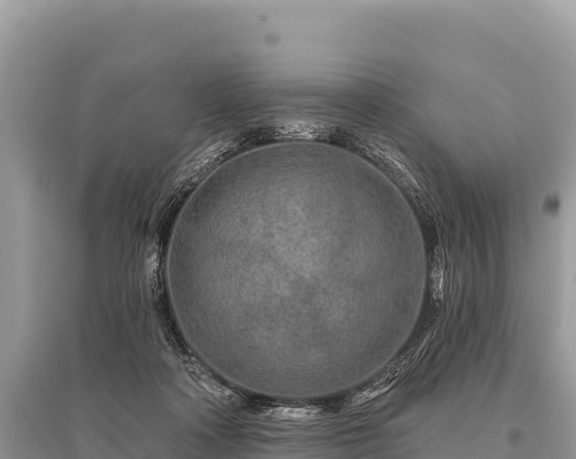 X0000096170314200801251157