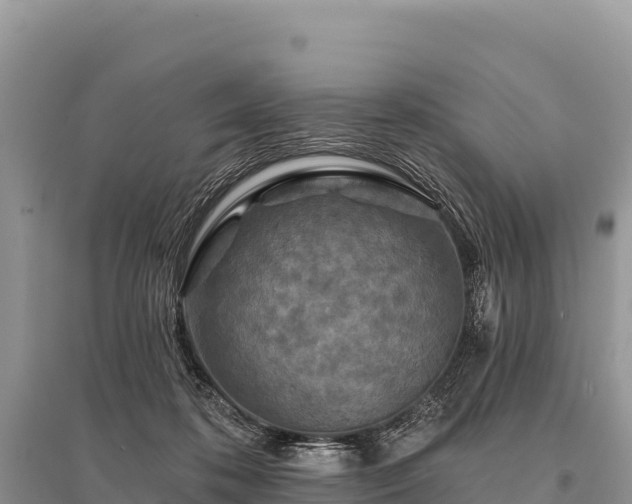 X0000096170316200801251157