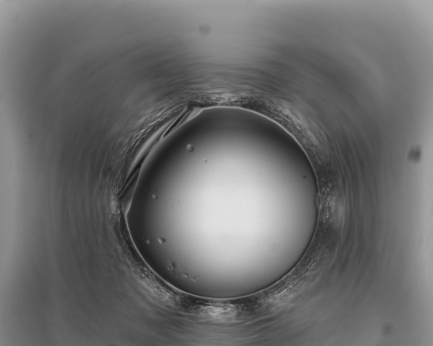 X0000096170317200801251157