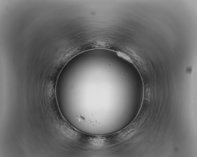 X0000096170318200801251157