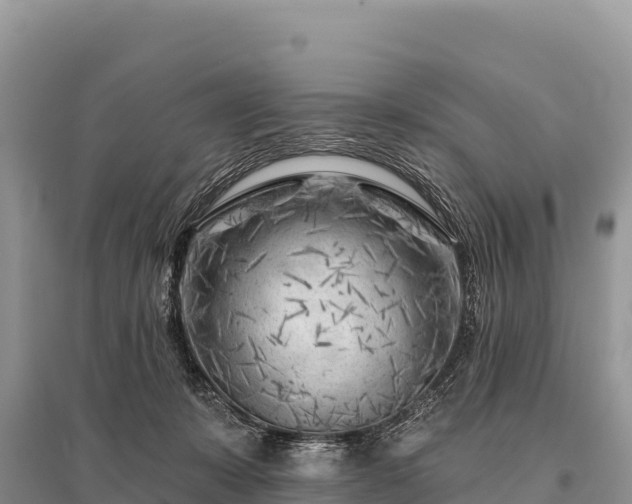 X0000096170319200801251157