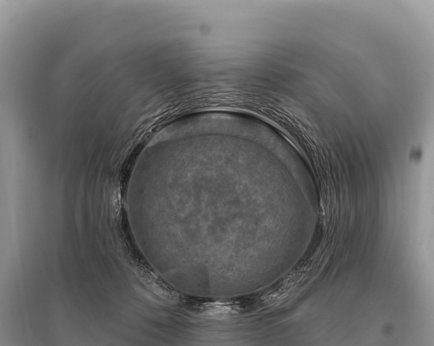 X0000096170320200801251157