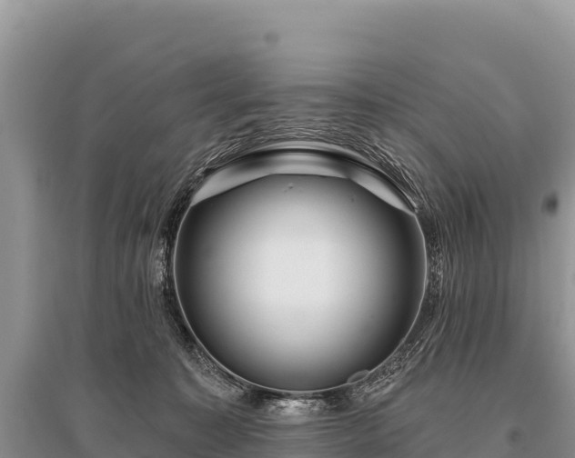 X0000096170323200801251157