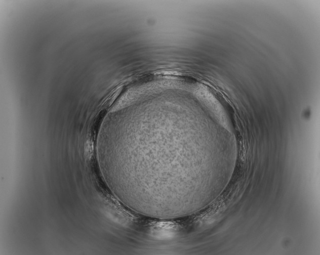 X0000096170324200801251157