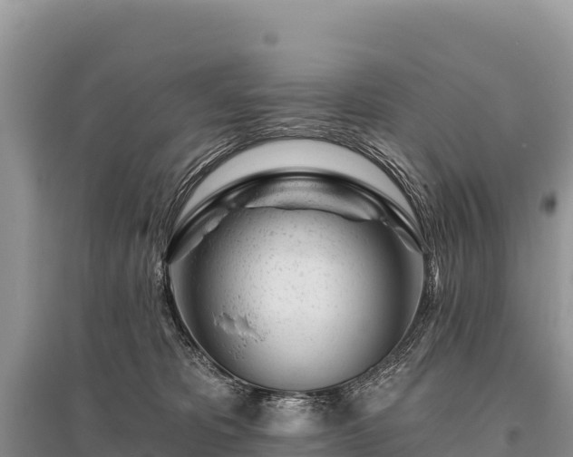 X0000096170325200801251157