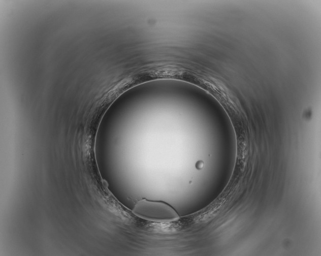 X0000096170326200801251157