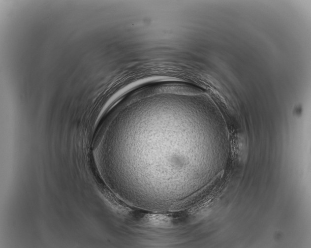 X0000096170327200801251157