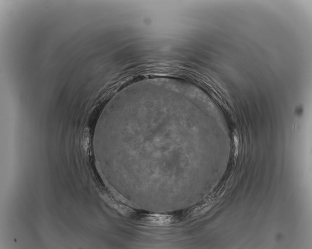 X0000096170328200801251157