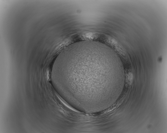 X0000096170331200801251157