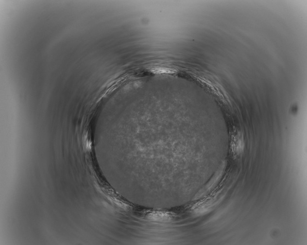 X0000096170332200801251157