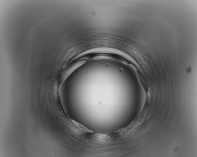 X0000096170333200801251157