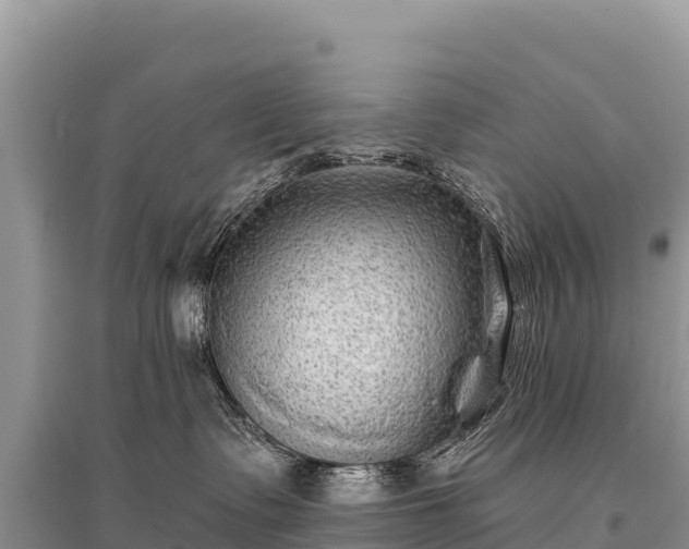 X0000096170335200801251157