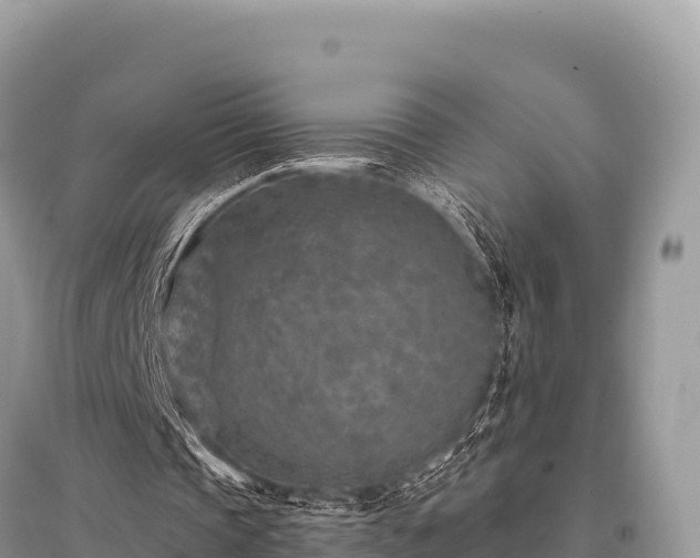 X0000096170337200801251156