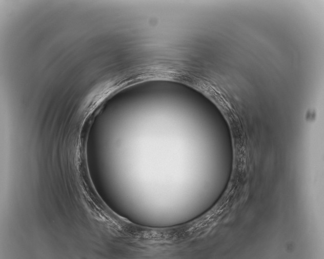 X0000096170338200801251156