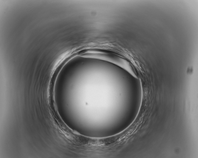 X0000096170340200801251156