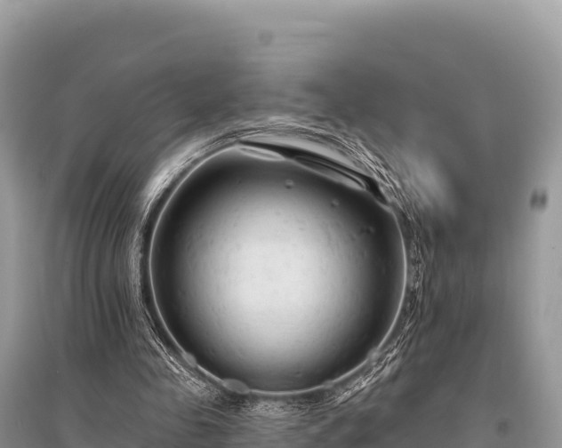 X0000096170341200801251156