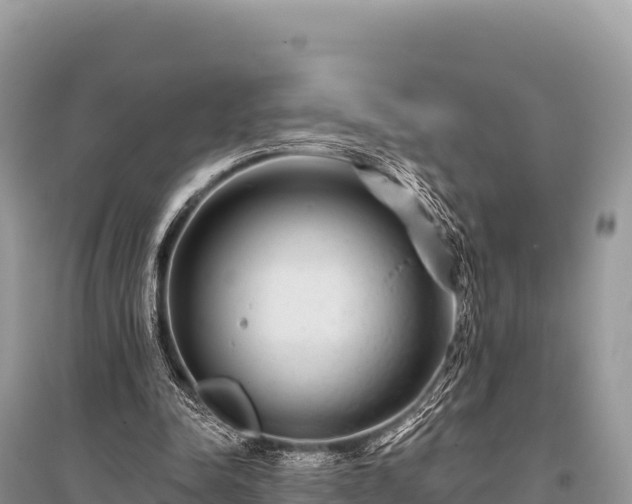 X0000096170342200801251156