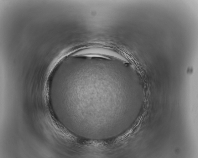 X0000096170343200801251156