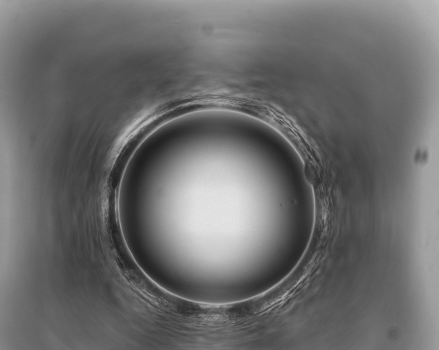 X0000096170344200801251156