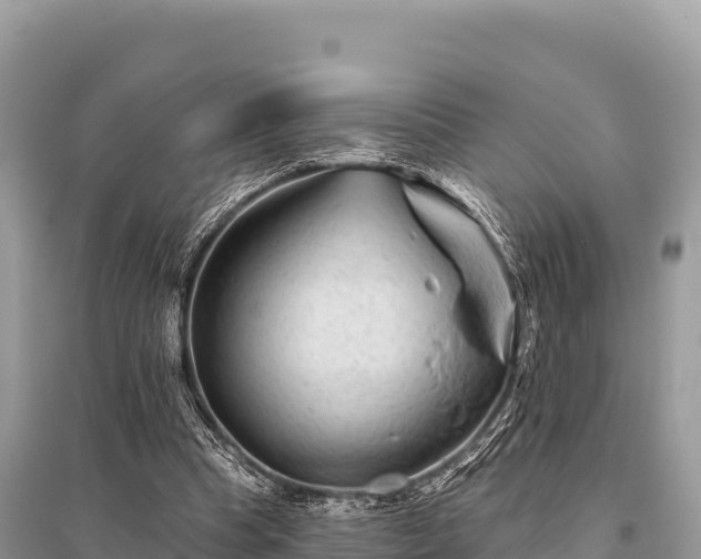 X0000096170345200801251156