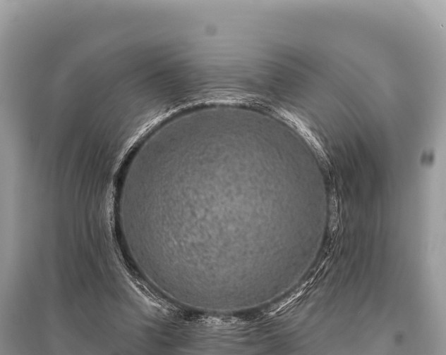 X0000096170346200801251156