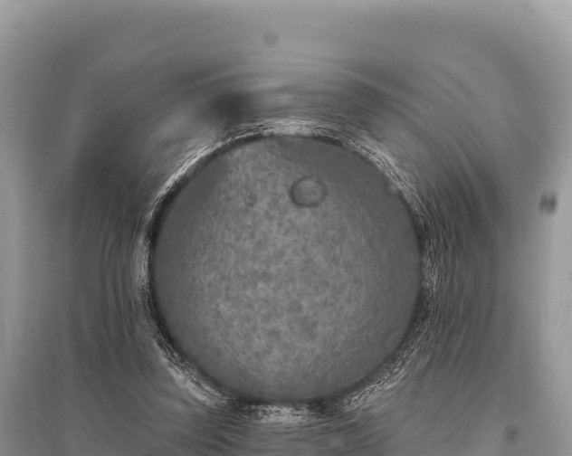 X0000096170347200801251156