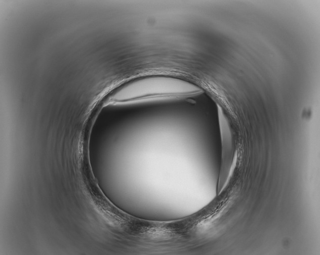 X0000096170348200801251156